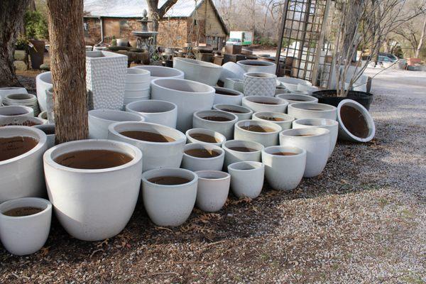 Calvert's Plant Interiors