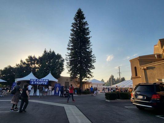 Entrance to the festival