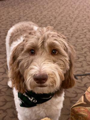 Watkins Brothers Funeral Homes Jennings-Lyons Chapel