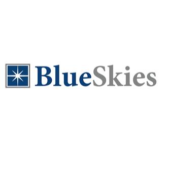 Blue Skies Cleaning Services