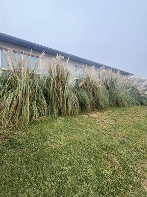 Squared Away Maintenance