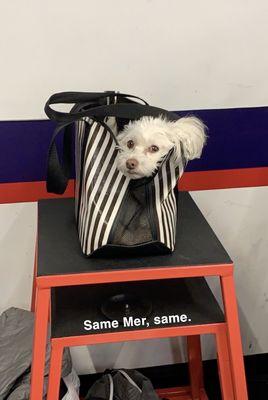 F45 Training Pacific Beach