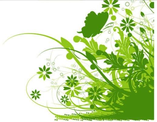 Thai Massage by Sukanya