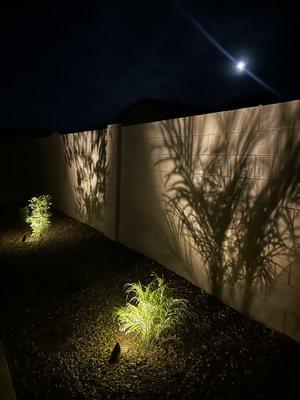 Azul Landscape Design_V2