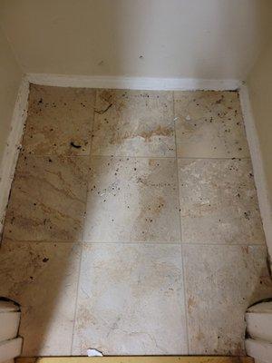 Forest Hills Apartments