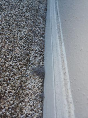 Dirty baseboards deep cleaning service