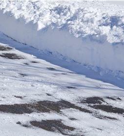 New Breeze Tree & Landscape Service