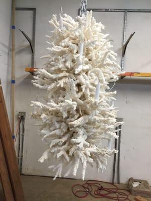 Gander and White Shipping