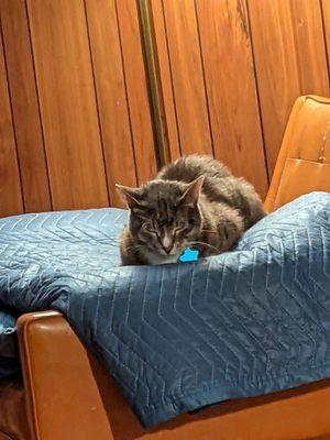 Wally is feeling much better after getting some new meds!