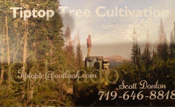 Tiptop Tree Cultivation