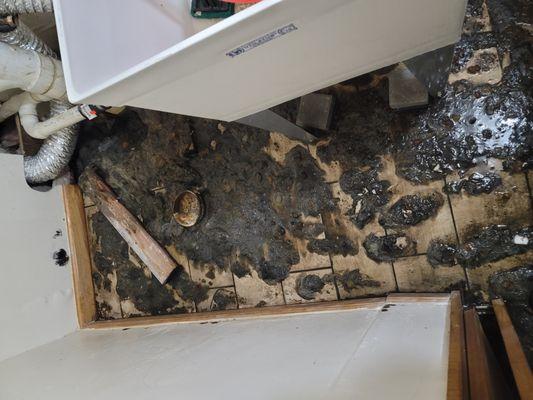 Golden Touch Restoration Specialist