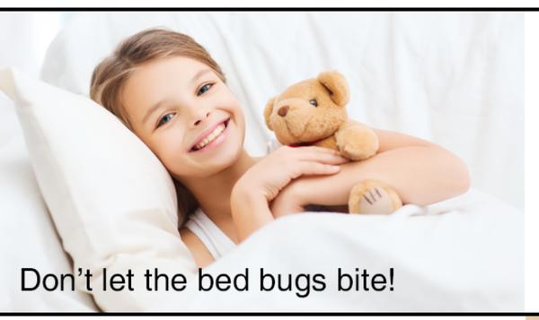 Bed Bug Private Investigators
