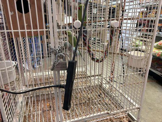 Collier Feed & Pet Supply