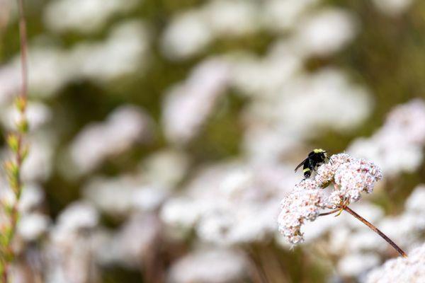 Shoreline Parklands At Mountain View