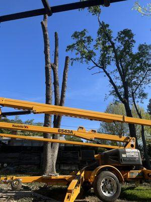 ATC Tree Services