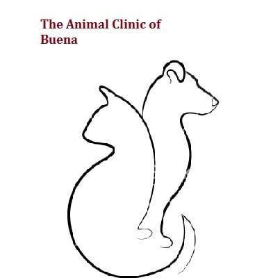 Animal Clinic Of Buena