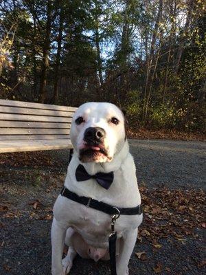 Fresh Trails Pet Sitting