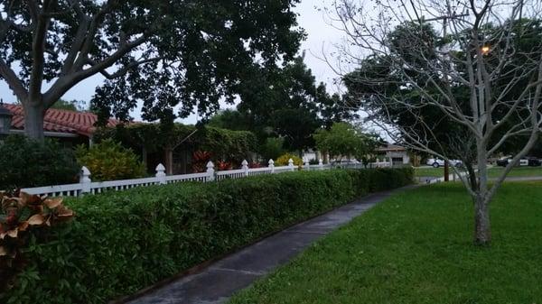 Bellaivy Lawn Service