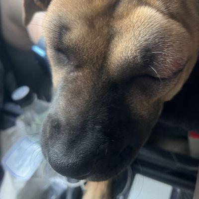 Southwest Veterinary Center