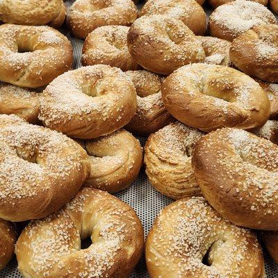 Salt Bagels are one of the many varieties we offer.
Visit our website Www.nanosbagels.com to order and for more varieties