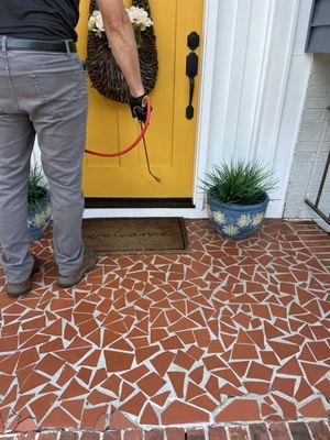 TLC Upstate Lawn and Pest