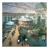 Benise-Dowling & Associates