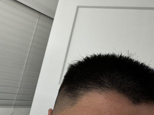 Best Cuts