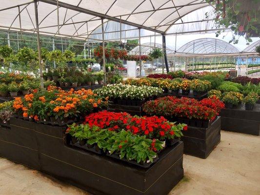 Shore Acres Plant Farm