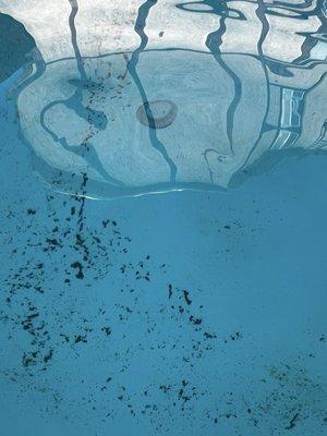 ONIT Property Management