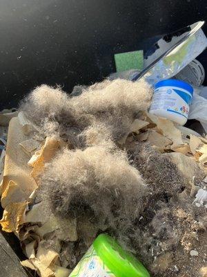 Chem-Dry of the Twin Ports