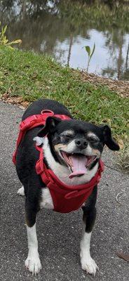 Hinsdale Humane Society