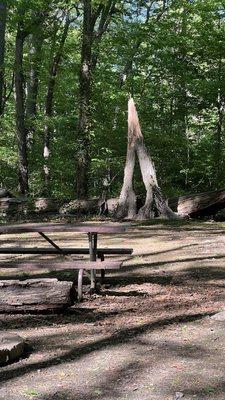 Christopher Morley Park