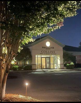 Mitchell L Collins, DDS MD