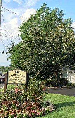 Ruth Cohen North Shore Chiropractic Health Center