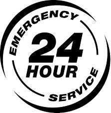 Immediate Lockout & Security Experts