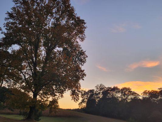 Callier Springs Country Club