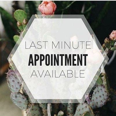 Dawn's Notary Services