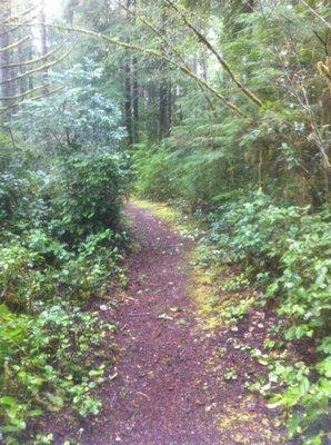 Eric Huenefeld Counseling