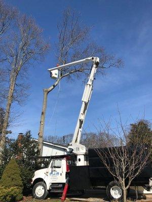 P.J.R Landscaping & Tree Service