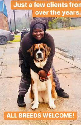 Martin Mutts Professional Pet Services