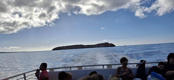 Pacific Whale Foundation