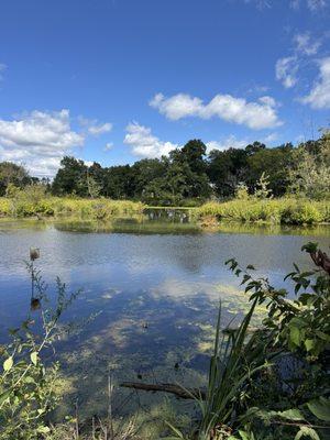 Crabtree Nature Center