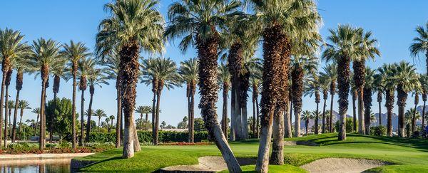 All Seasons Tree Specialists