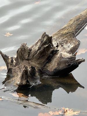 Hinckley Reservation