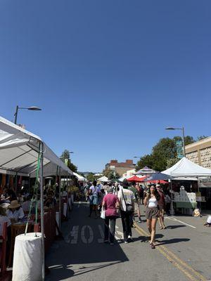 Craftsman and Wolves