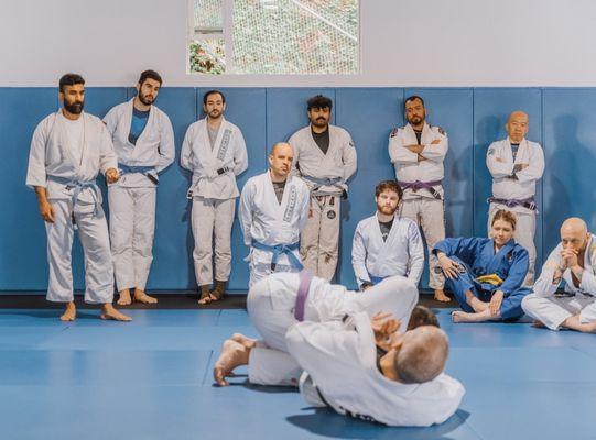 Framework BJJ Seattle