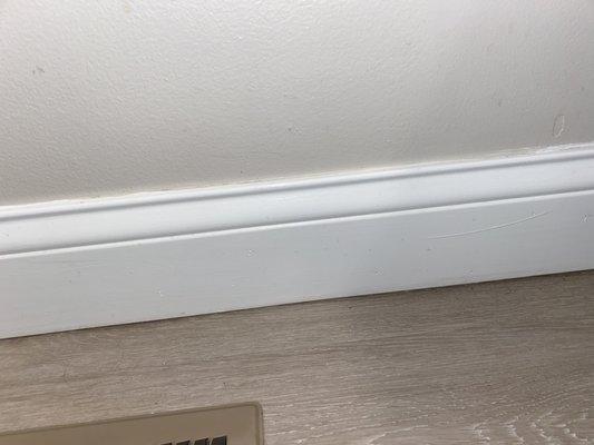 Elite Cleaning & Junk Removal Services