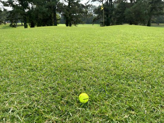 Orgill Park Golf Course