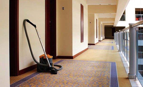 Genesis Wave Solutions