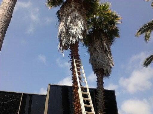 Richard's Reliable Handyman